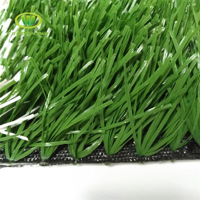 জাল প্লাস্টিক ঘাস fake plastic grass