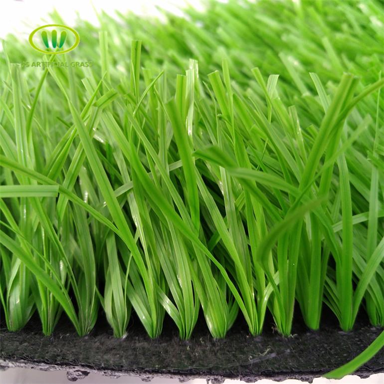 জাল প্লাস্টিক ঘাস fake plastic grass