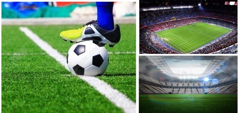 জাল প্লাস্টিক ঘাস fake plastic grass