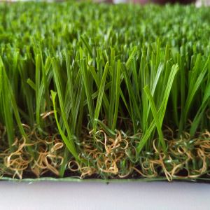আবাসিক টার্ফ