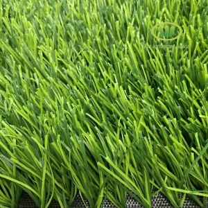 খেলার মাঠ ফুটবল ঘাস