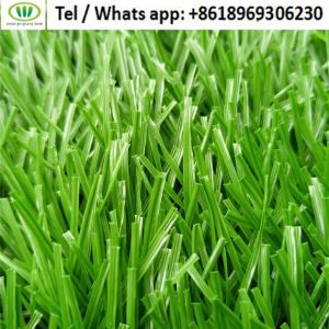 সিনথেটিক গ্রাস সকার