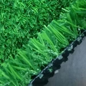 সিন্থেটিক খেলার মাঠ Turf