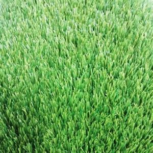 সিন্থেটিক Turf ল্যান্ডস্কেপিং