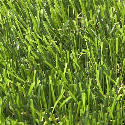 কৃত্রিম ঘাস স্কোয়ার